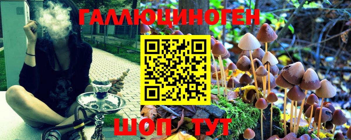 Галлюциногенные грибы мухоморы  Вход с VPN  Керчь 