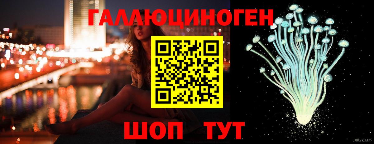 Псилоцибиновые грибы Psilocybe Керчь